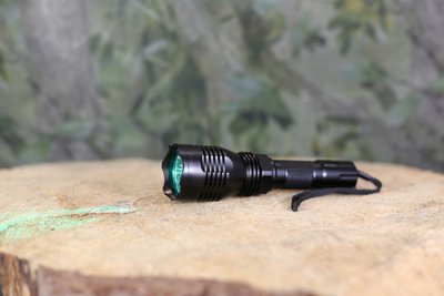 LED lamp TG 260 lumen groen