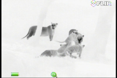 FLIR Scout III 240 Warmtebeeldcamera