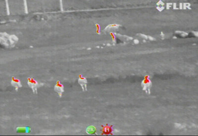 FLIR Scout III 240 Warmtebeeldcamera