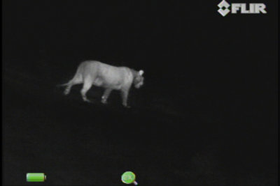 FLIR Scout III 320 Warmtebeeldcamera