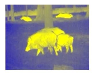 Dipol TFA 1000 Warmtebeeld voorzetkijker
