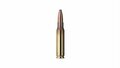 Geco .308 Win Softpoint 20 stuks 11 gram / 170grain