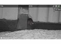 Hikmicro Alpex Lite 4K A40E Digital Night Vision Scope
