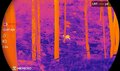Hikmicro Multispectralverrekijker Habrok 4K HQ35L