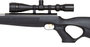 Weihrauch HW97 Black Line_